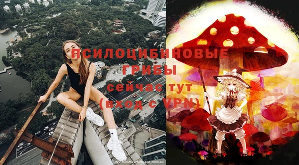 гидропоника Магадан