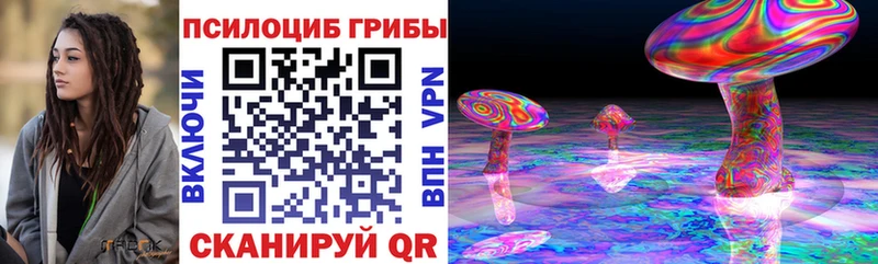 Псилоцибиновые грибы Psilocybe  Юрюзань 